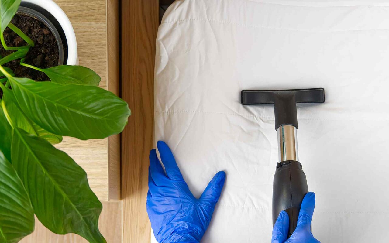 Deep Cleaning vs. Regular Cleaning: What’s the Difference?