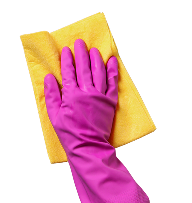 image_05_services https://staging.pronet-entretien.fr/wp-content/uploads/2025/07/image_05_services.png